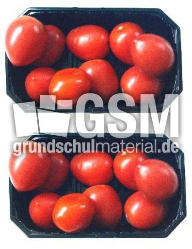 Tomaten-2x9.jpg